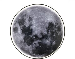 Настенно-потолочный светильник Escada 605/S LED Mars