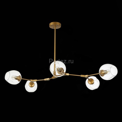 Потолочная люстра Evoluce SLE154823-05