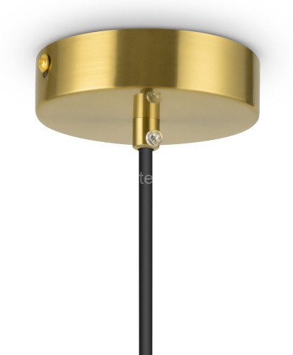 Подвесной светильник Freya FR5218PL-01BS