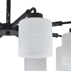 Потолочная люстра Escada 2133/8P