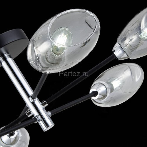 Потолочная люстра Evoluce SLE155512-06