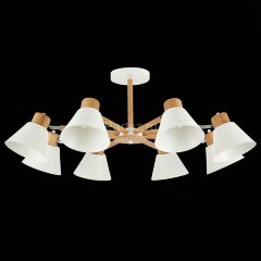 Потолочная люстра Evoluce SLE103702-08